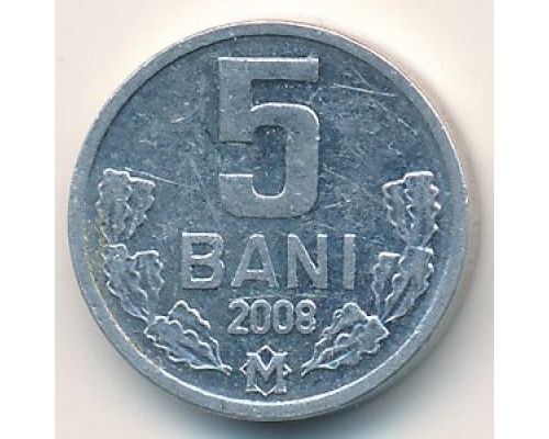 5 бани (1993–2008 г) Молдова