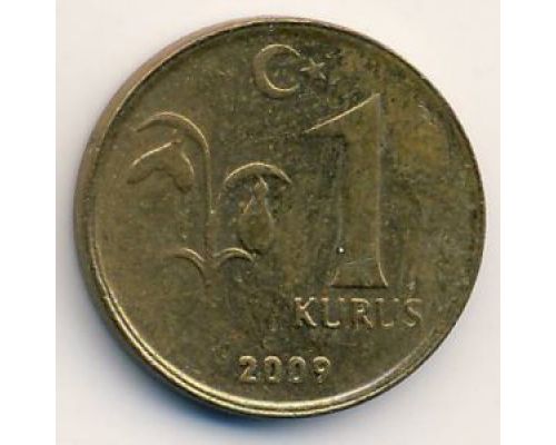 1 куруш 2010 год Турция