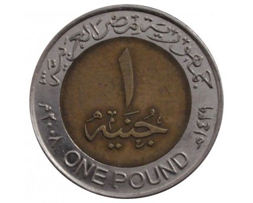 1 фунт 2008 год Египет